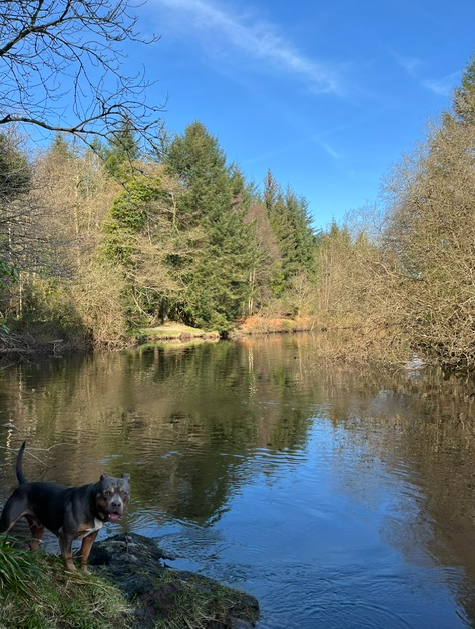 Still water and a companion on the rocks