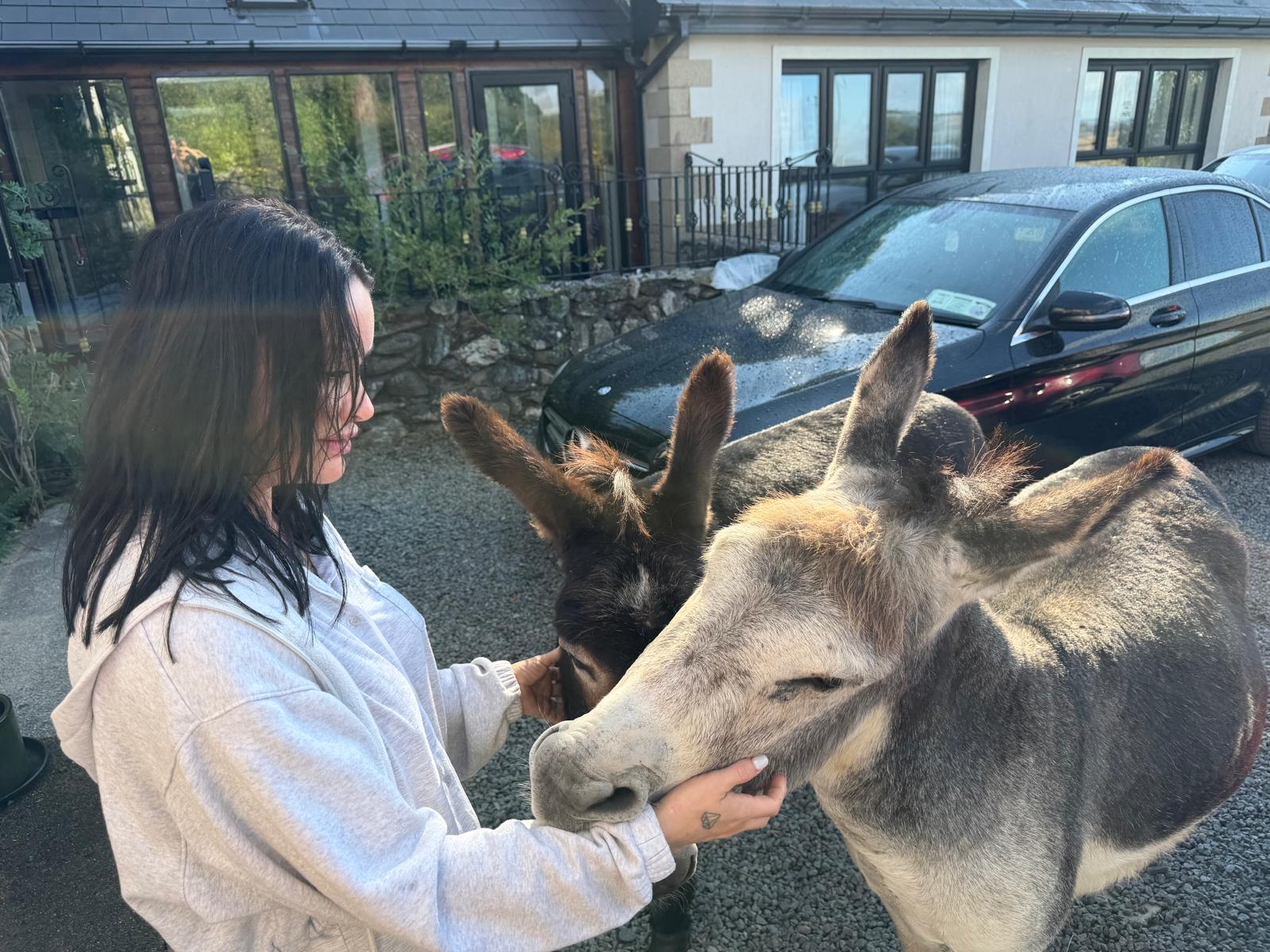 Friendly Intruders at Danú Lodge