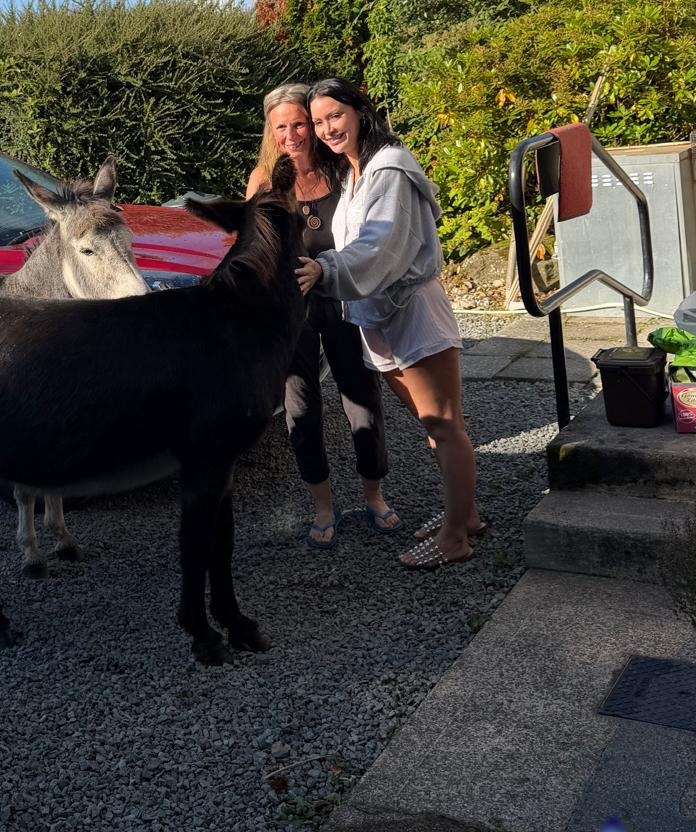 Friendly Intruders at Danú Lodge
