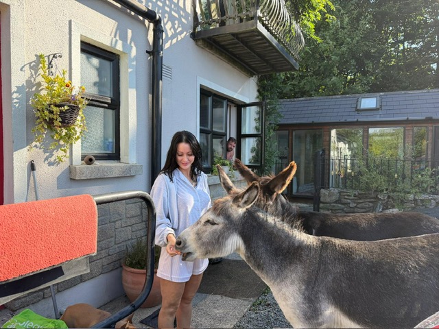 Friendly Intruders at Danú Lodge
