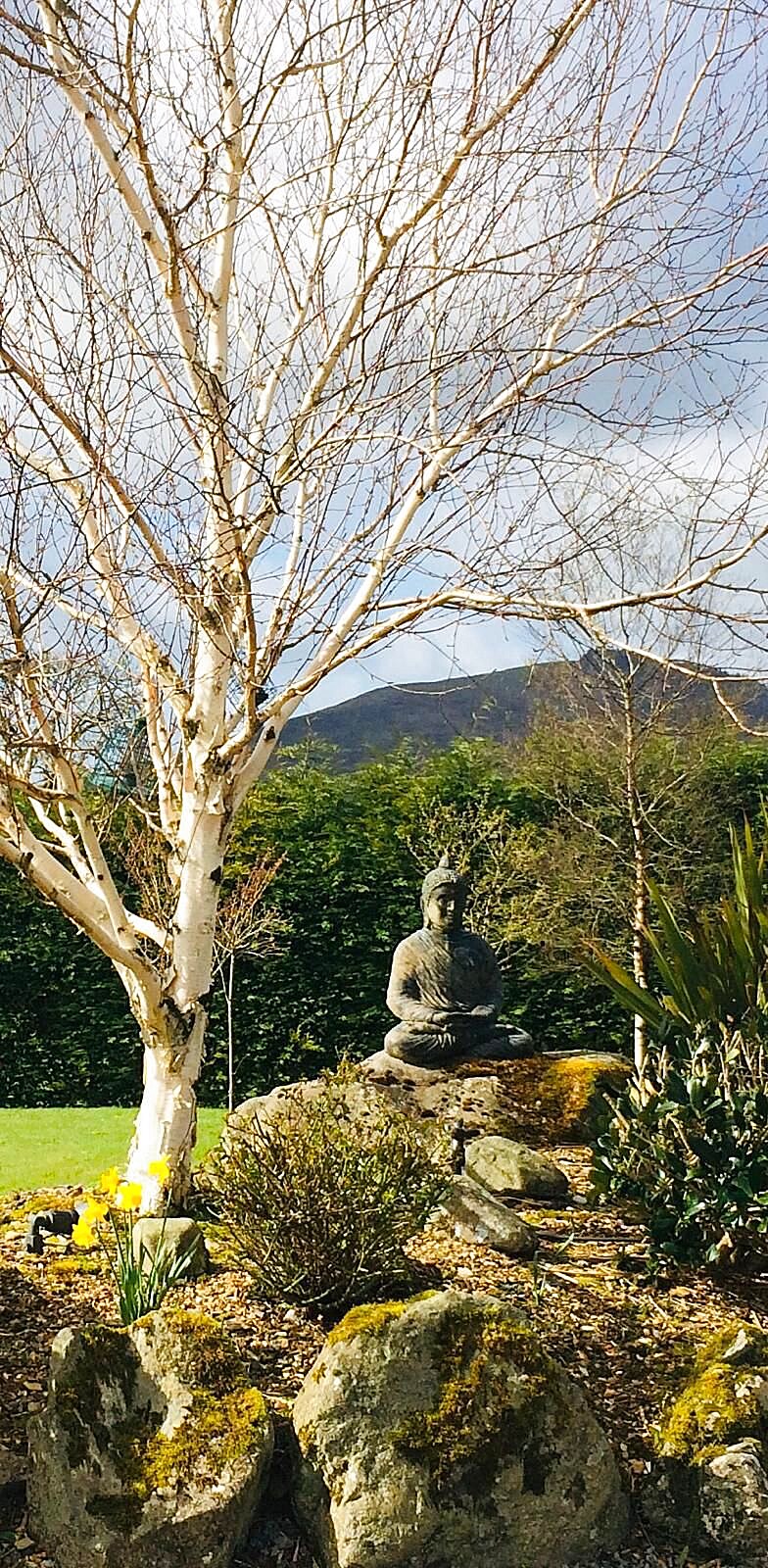 Twin bedroom at Danu Lodge with views toward Annagh mountain — wellness retreat accommodation in Co. Wexford, Ireland