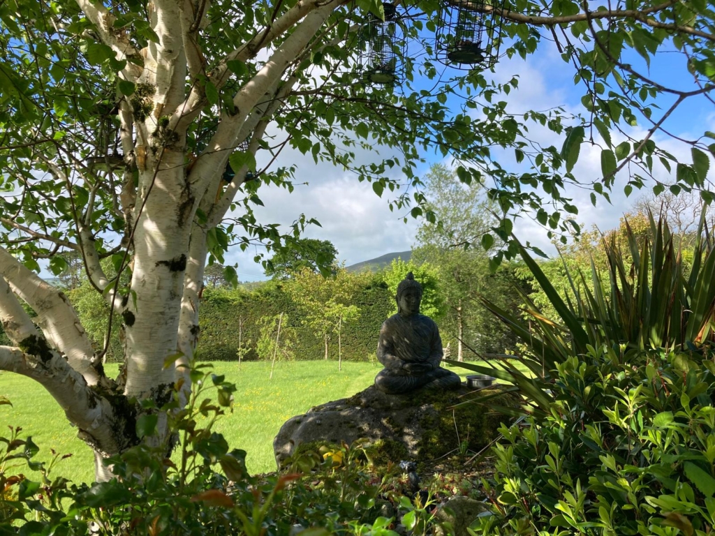 Tai chi & Qigong with meditation on Monday evening commencing on 22 September 2025 at 7-8.30 pm
